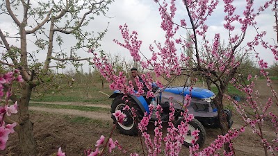Photos of Sultansazligi National Park