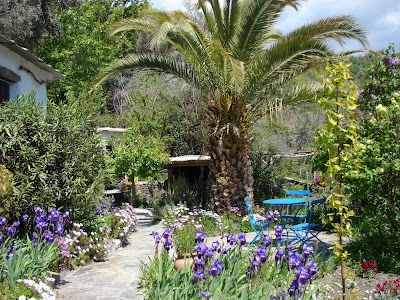 Photos of Sierra Y Mar