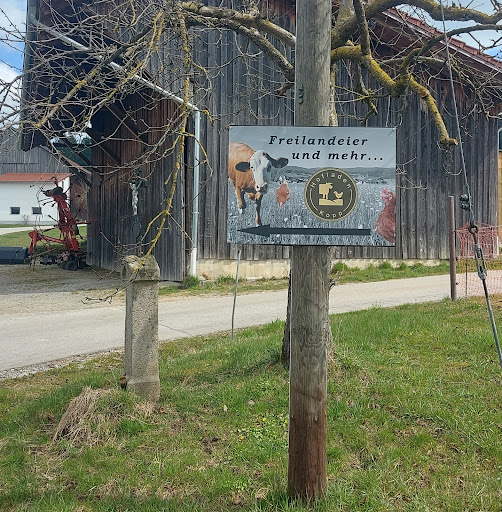 Hofladen Kopp - Visual
