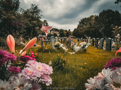 Thorpe Road Cemetery - Thumbnail