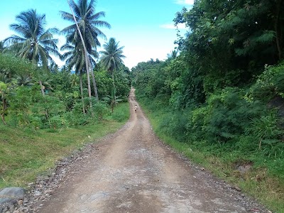 Photos of Rabi Island