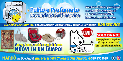 Pulito e Profumato - Visual