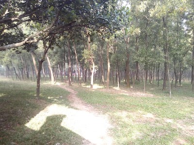 Photos of JENNYS, Rakhaliachala, Kaliakoir, Gazipur