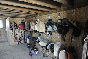 Photo n°10 de domaine équestre de la maurinière à Brénod (Centre équestre)