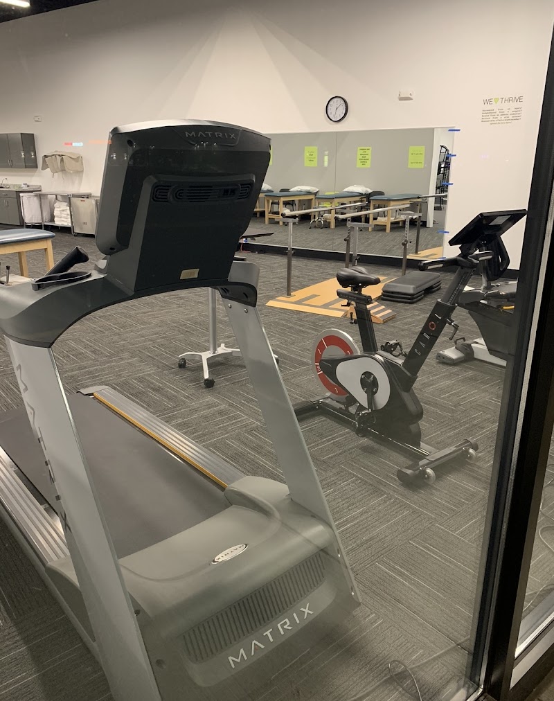 Thrive Physical Therapy