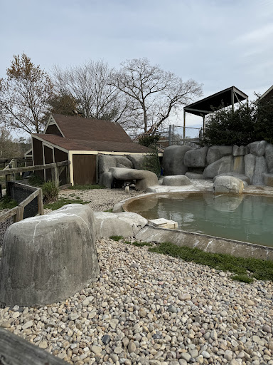 Zoo Carousel - Visual