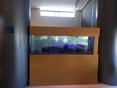 Aquarium Management Systems