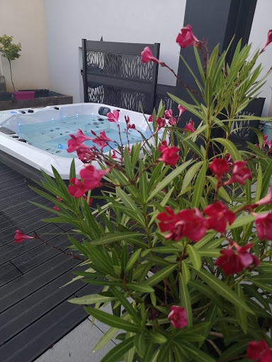 Photo de BP SPA - Installation/Vente et Sav piscines , spas , saunas . Showroom ouvert sur RDV. à Hadol (88220)