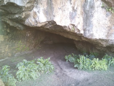 Photos of Rancho Pinto