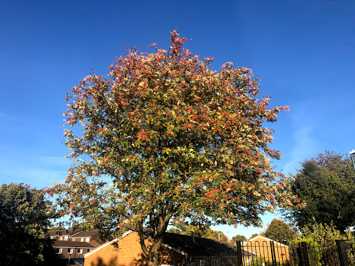 Park Vale Academy - Thumbnail