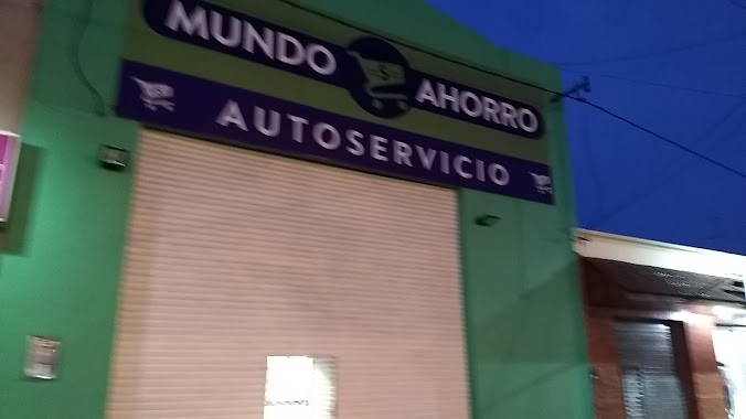 Mundo Ahorro, Author: Javier De Pueblo En Pueblo