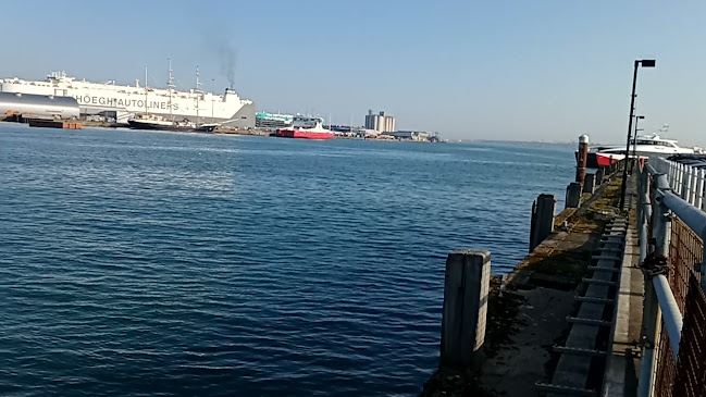 Red Funnel Red Jet Open Times