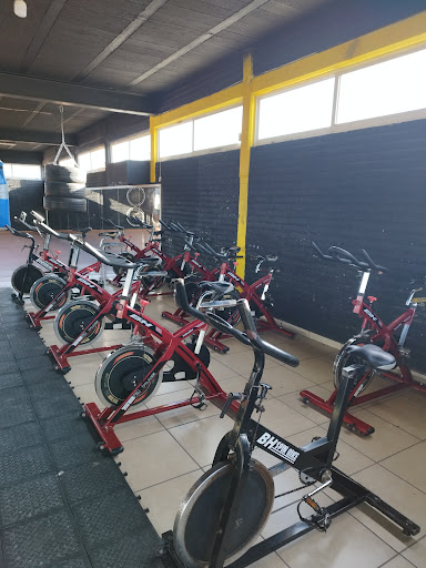 GOLIATH GYM - Visual