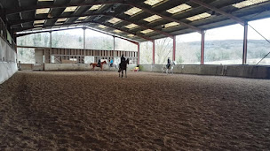Photo n°23 de ECURIE SOPHIE MARCHAND à Saulx-les-Chartreux (Centre équestre)