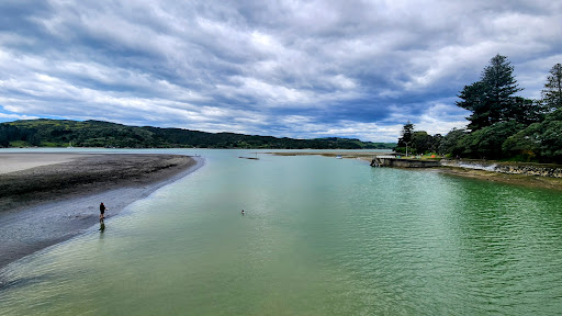 Raglan Harbour Cruises - Thumbnail