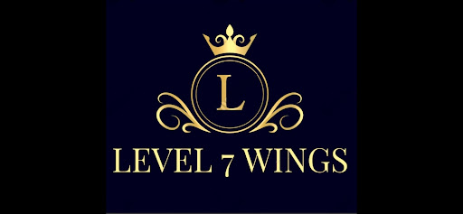 Level 7 Wings - Visual