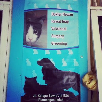 Photos of Klinik Q-ty Petcare - Dokter Hewan & Grooming