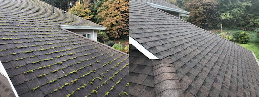 Root Home Services - Visual