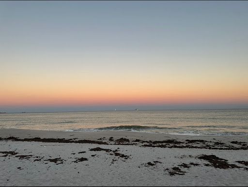 Dania Beach - Visual