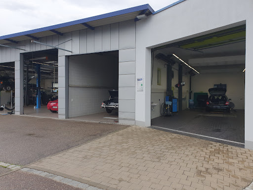 Auto Dorner - Visual