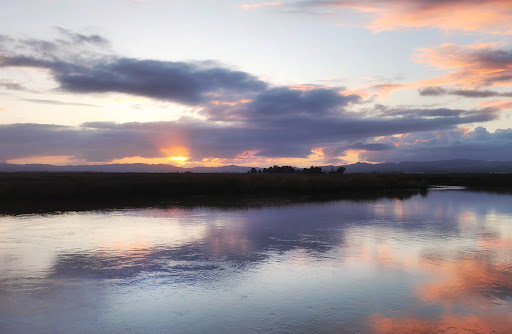 Hill Sough Wildlife Area - Thumbnail