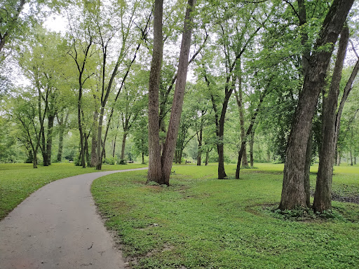 Morrow's Meadow - Visual