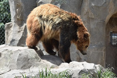 Asian Highlands at Hogle Zoo