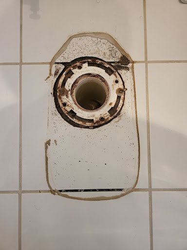 Professional Poo Services - Visual