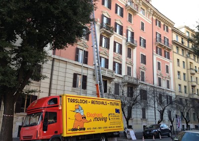 Photos of Elephant Moving Traslochi Trasporti nazionali-internazionali