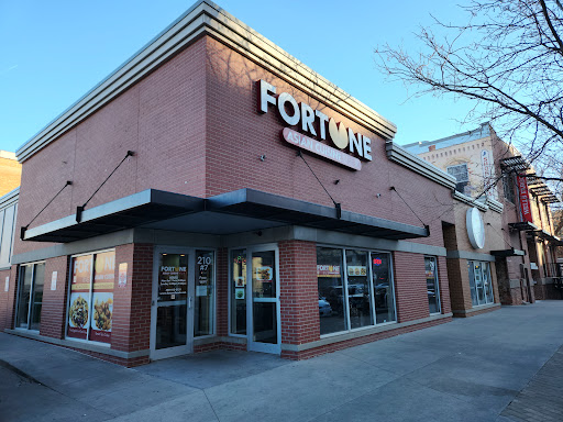 Fortune - Visual