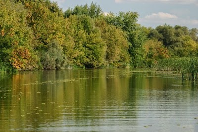 Photos of Tisza-tavi cs&oacute;nakos barangol&aacute;s