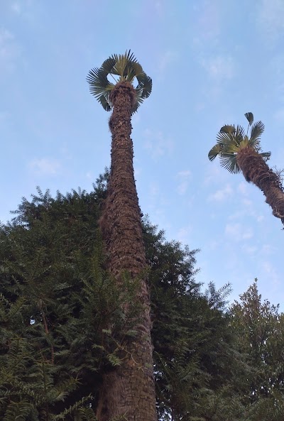 小山緑化（有）