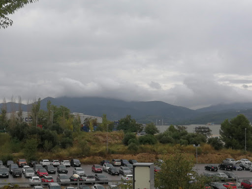Trans Miquel Benavent S.L. (Oficinas) - Thumbnail