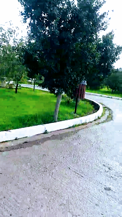 Photos of Doudou Mokhtar Garden