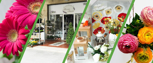 FioriaBenevento.it FIORI PAGNOZZI di Andrea Covino - Thumbnail