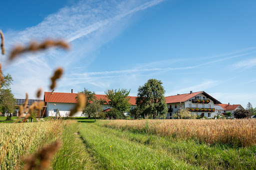 Steinberger Hof - Partyservice / Catering, Ferienwohnungen, Landwirtschaft - Thumbnail