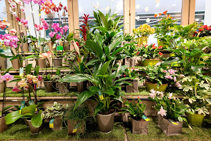 Photo n°34 de Le Jardin des Fleurs à Les Sables-d'Olonne (Fleuriste)