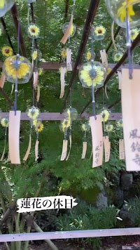 蓮花鍼灸整骨院