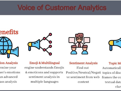 Voice of Customer Analysis