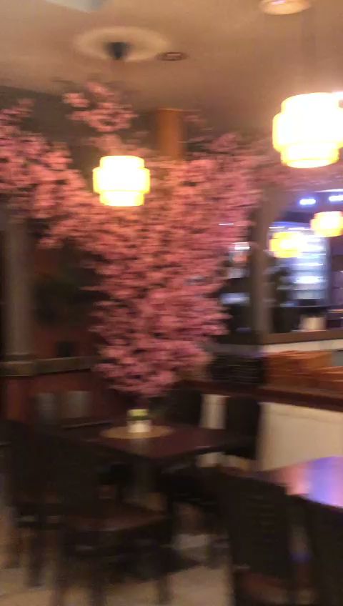 Kyushu Asia Cuisine & Sushi