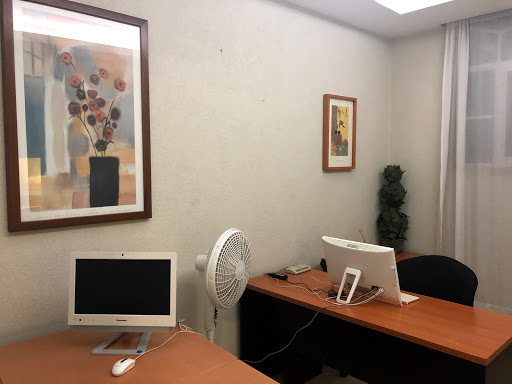 Hotel Plaza Ejecutivo - Thumbnail