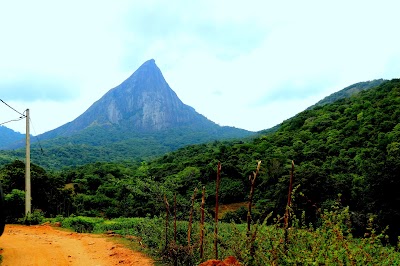 Photos of Meemure Jungle Resort