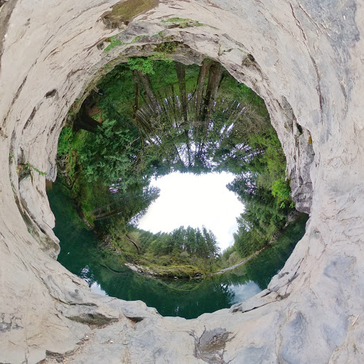 Silver Fox 360 - Visual