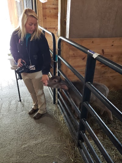 Pine View Farm Fun