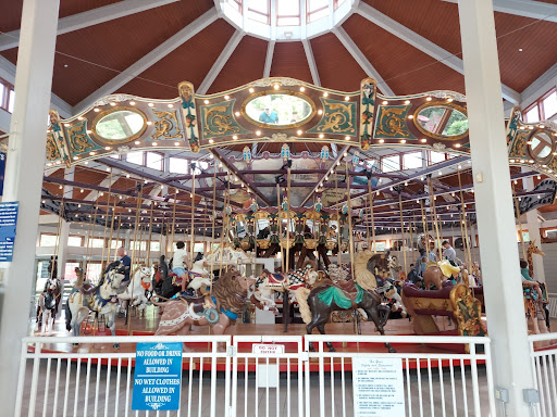 Coolidge Carousel - Visual
