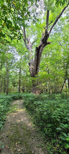 Lundy Acres - Thumbnail