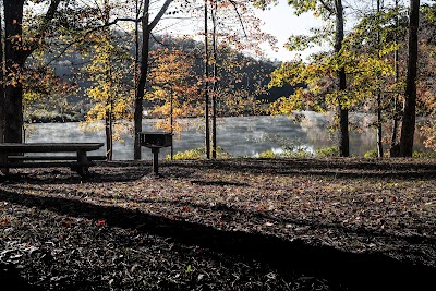 Brushy Lake Dam