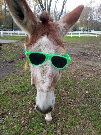 Tripledale Farm, LLC