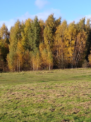 Llay Play Area - Thumbnail