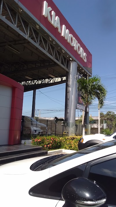 car-dealer